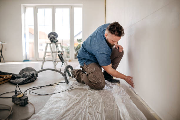 Best Drywall Removal and Disposal  in Jefferson City, TN